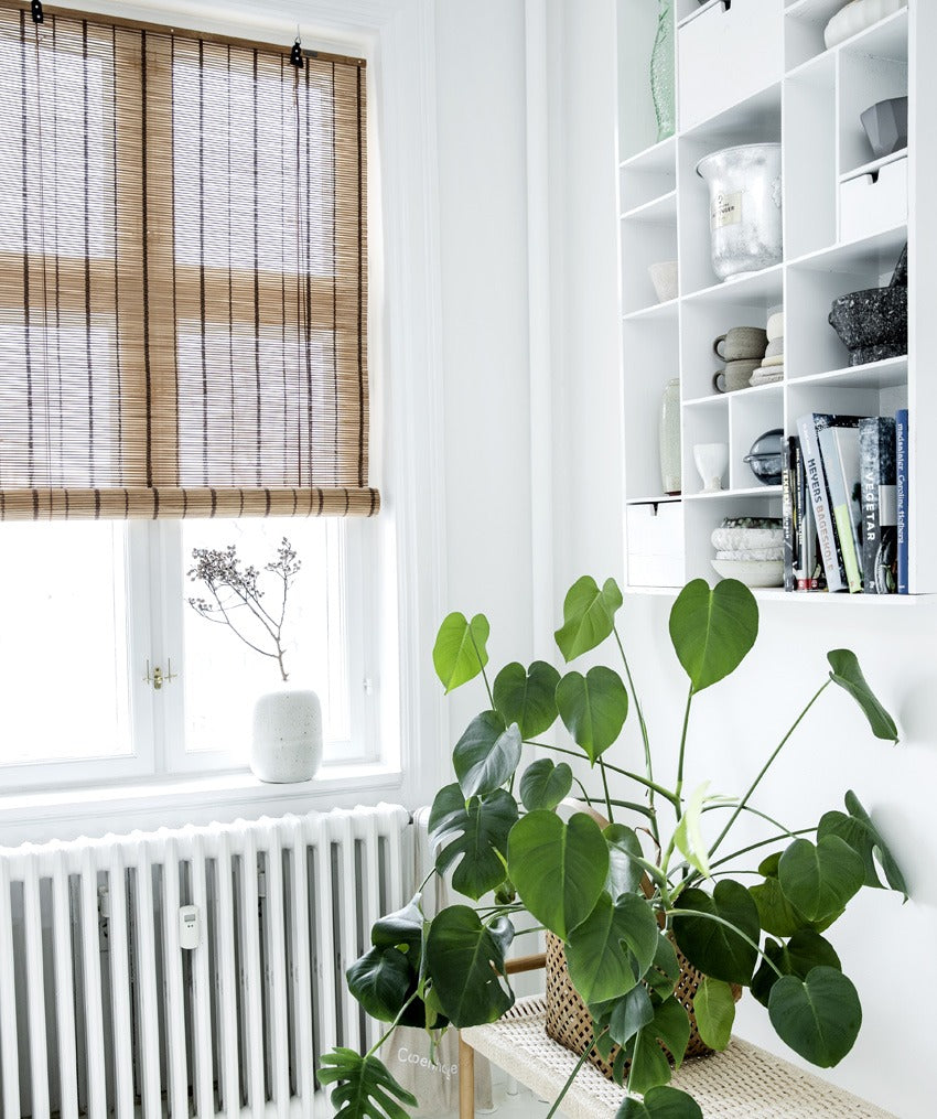 Color & Co brown striped bamboe rolgordijn