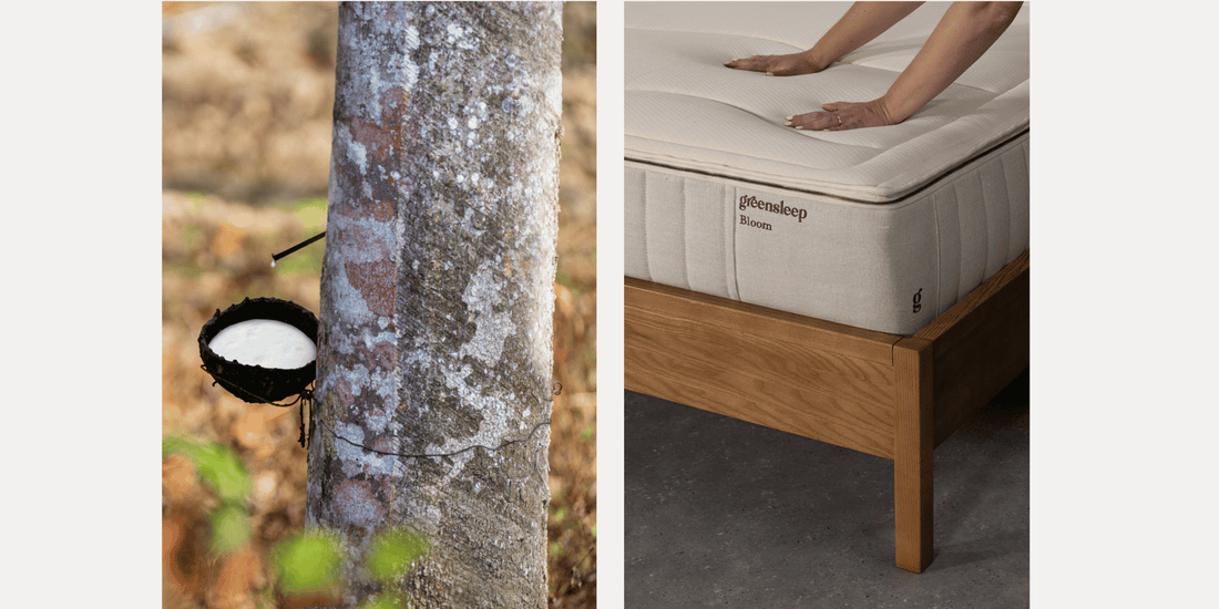 Waarom een 100% natuurlatex matras?