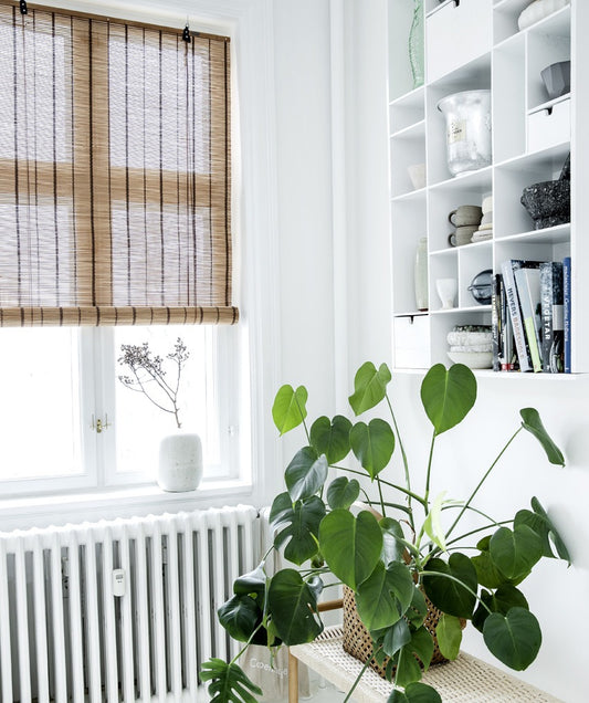 Color & Co brown striped bamboe rolgordijn