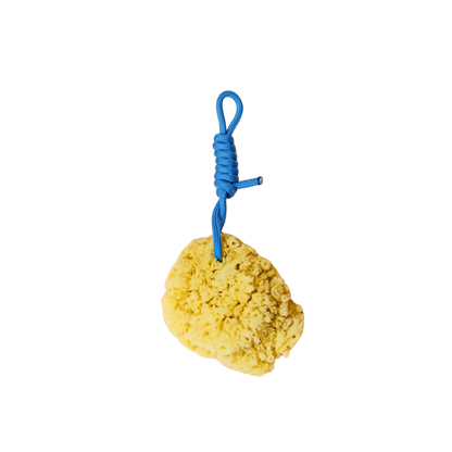 Suite702 natural sponge