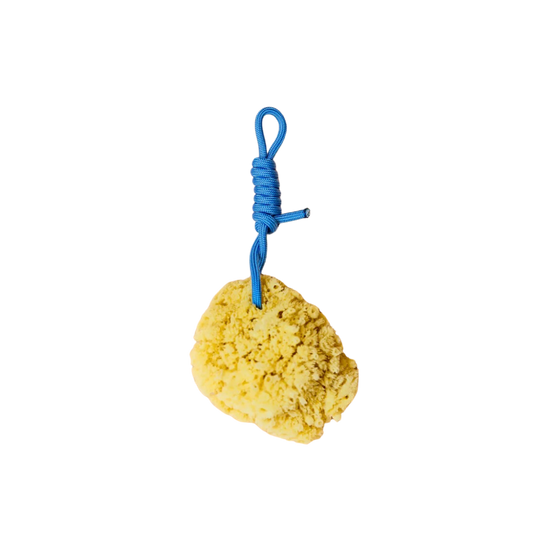 Suite702 natural sponge