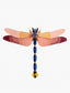 studio roof giant-dragonfly